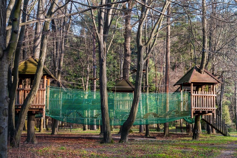 Mediniai nameliai medyje, sujungti tinkliniu tiltu, skirta vaikų nuotykiams gamtoje
